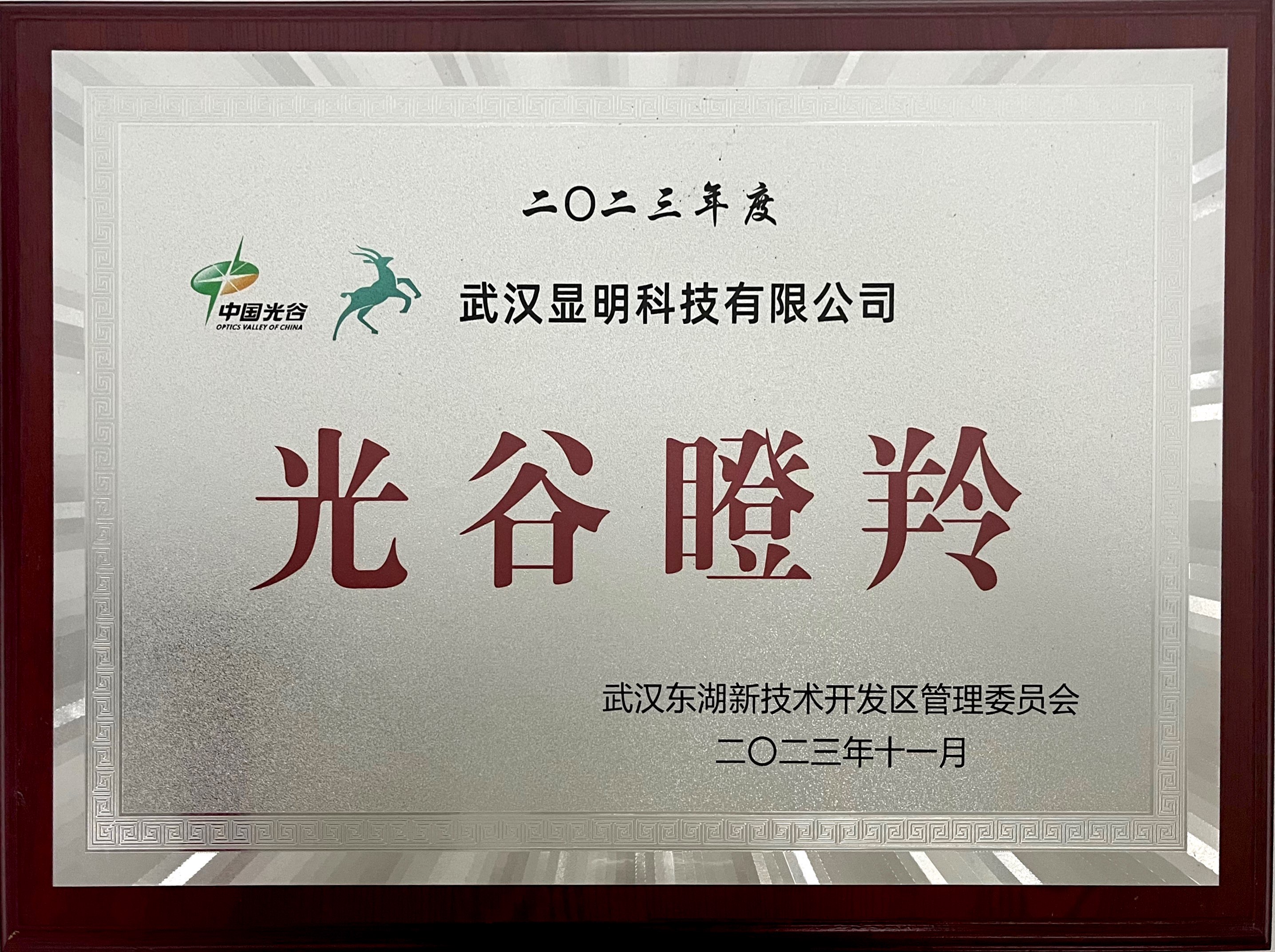 2023年底光谷瞪羚企业