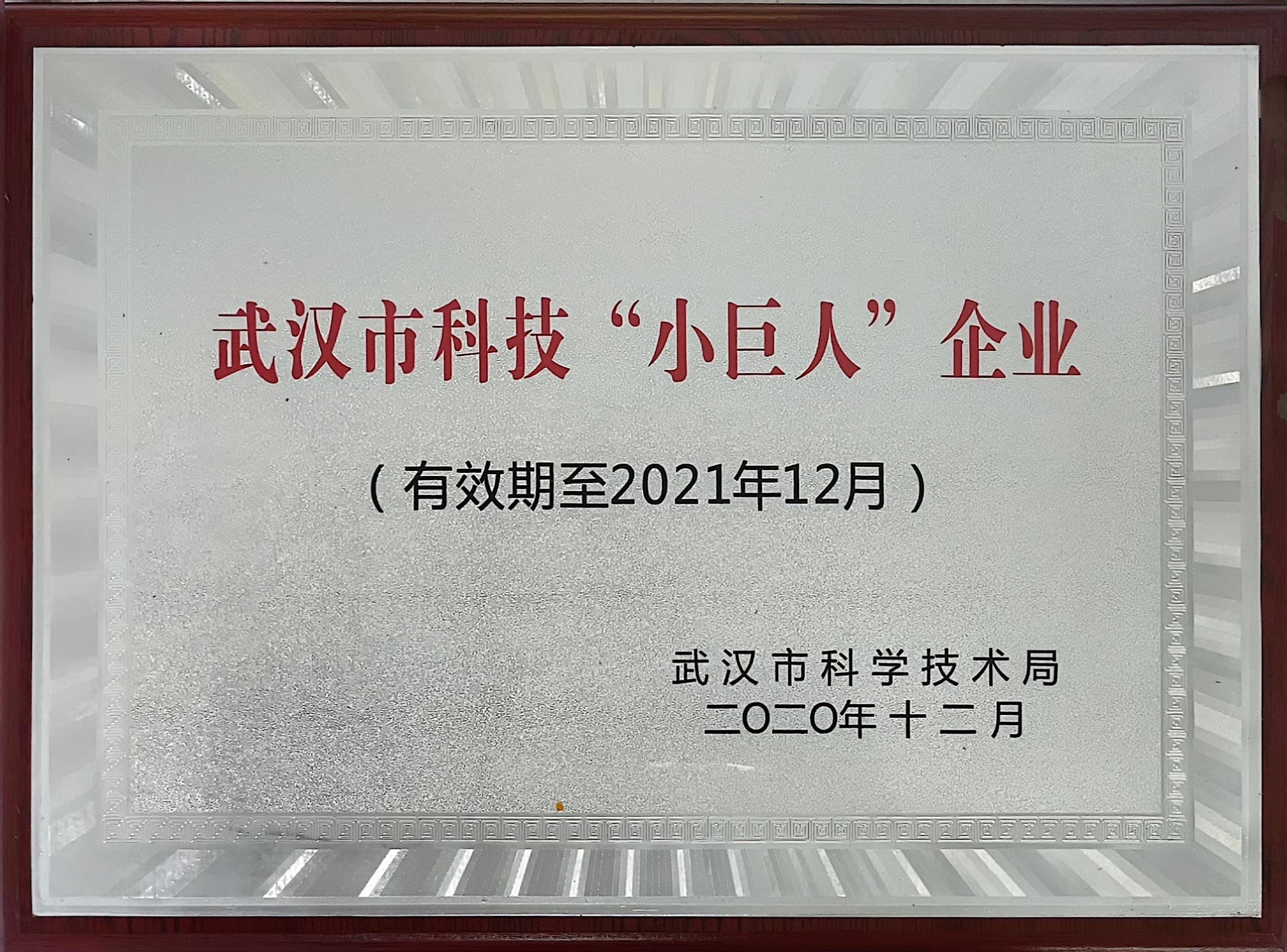 武汉市科技&ldquo;小巨人&rdquo;企业
