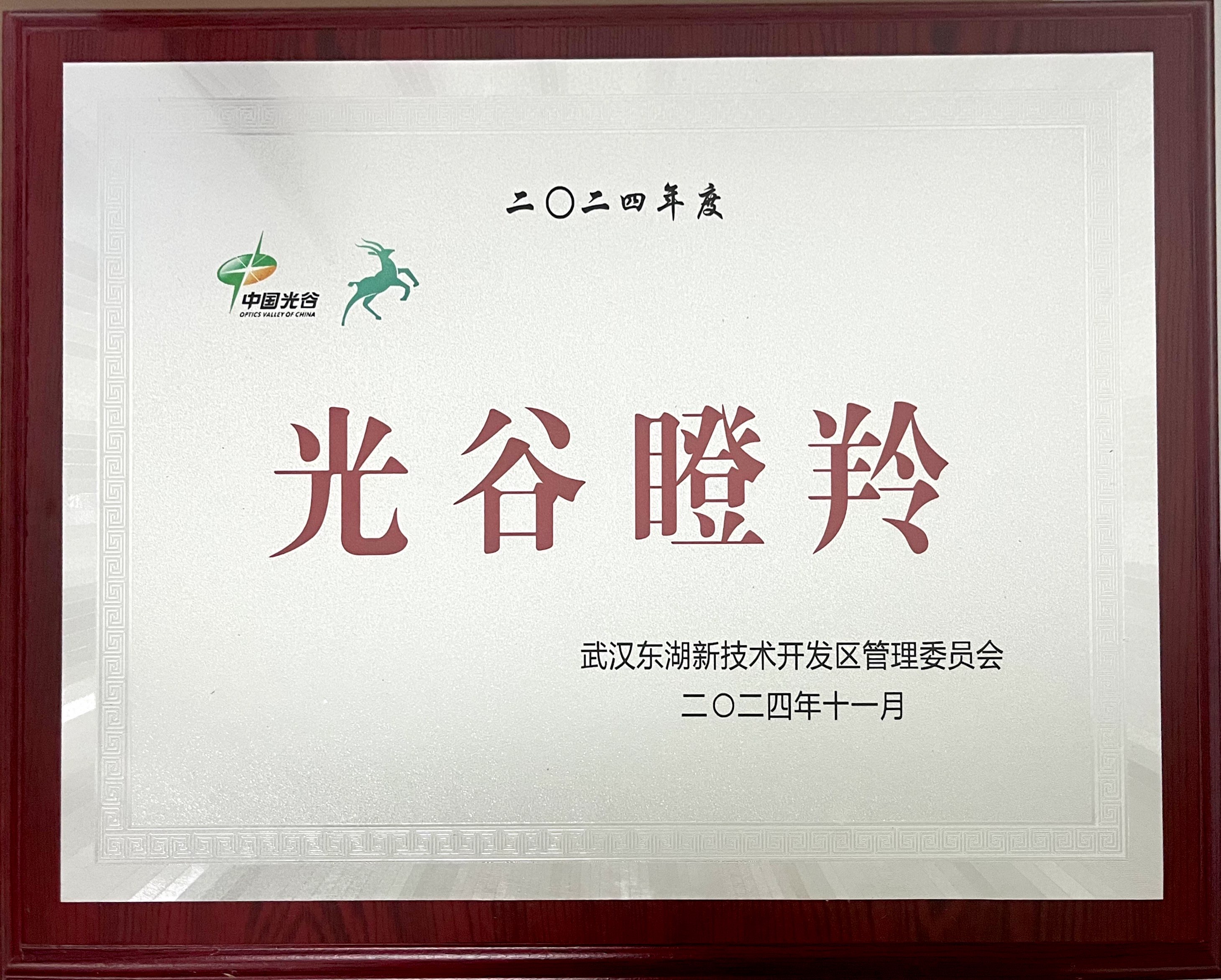 2024年度光谷瞪羚企业