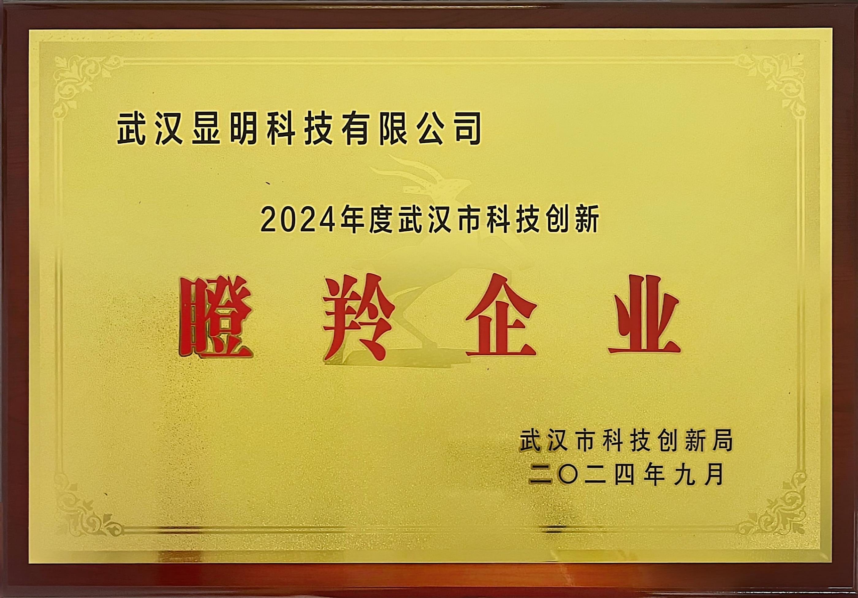 2024年度武汉市科技创新瞪羚企业